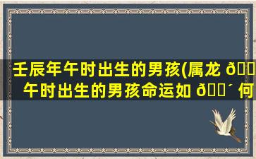 壬辰年午时出生的男孩(属龙 🌼 午时出生的男孩命运如 🐴 何)